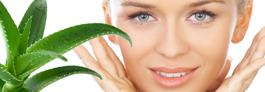 aloe in cosmetica cosmesi aloe