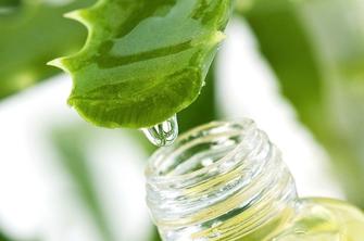 aloe cosmetica cosmetic crema