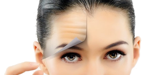 rughe fronte viso donna