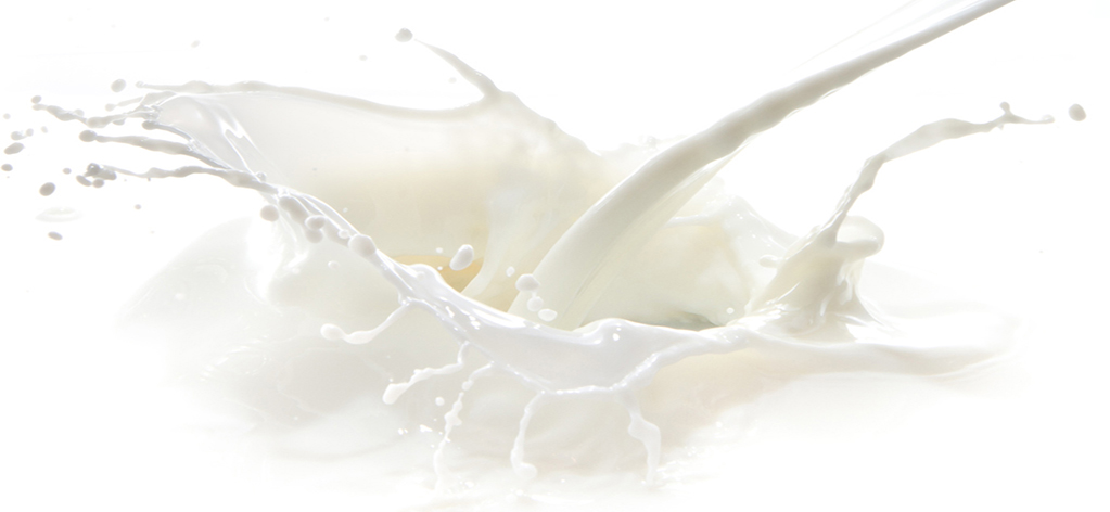 latte asina benefici proprietà