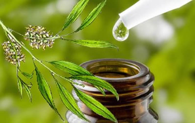 tea tree olio oil benefici proprietà uso